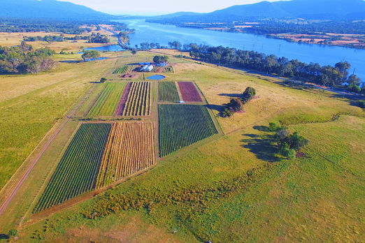 Farm Food Health contributor story